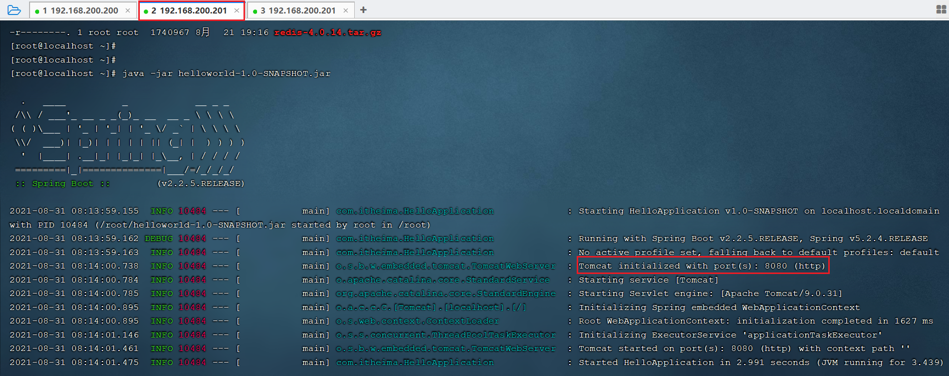 image-20210831081513575