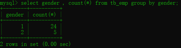 image-20230206174334518